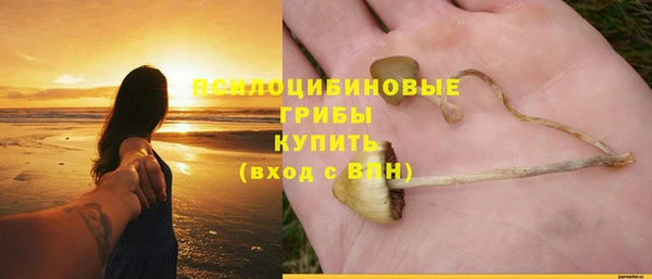 а пвп мука Кинешма