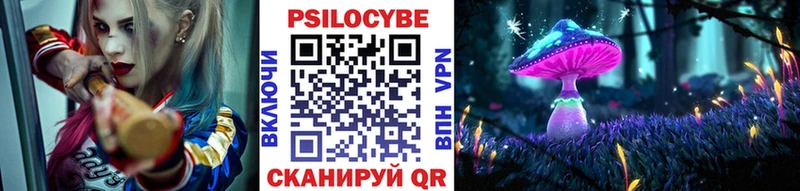 Купить где  Шиханы  Псилоцибиновые грибы Magic Shrooms 