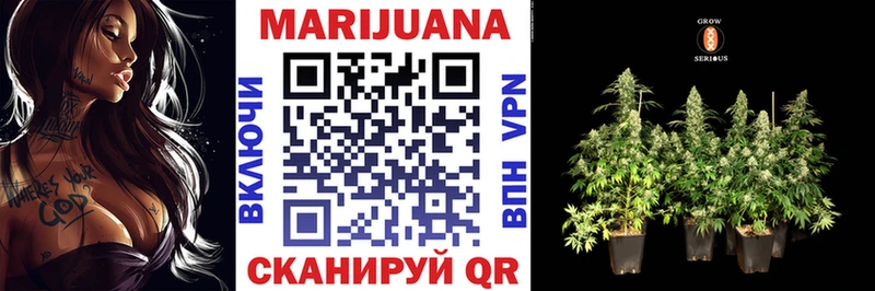 Канабис конопля Купить Шиханы